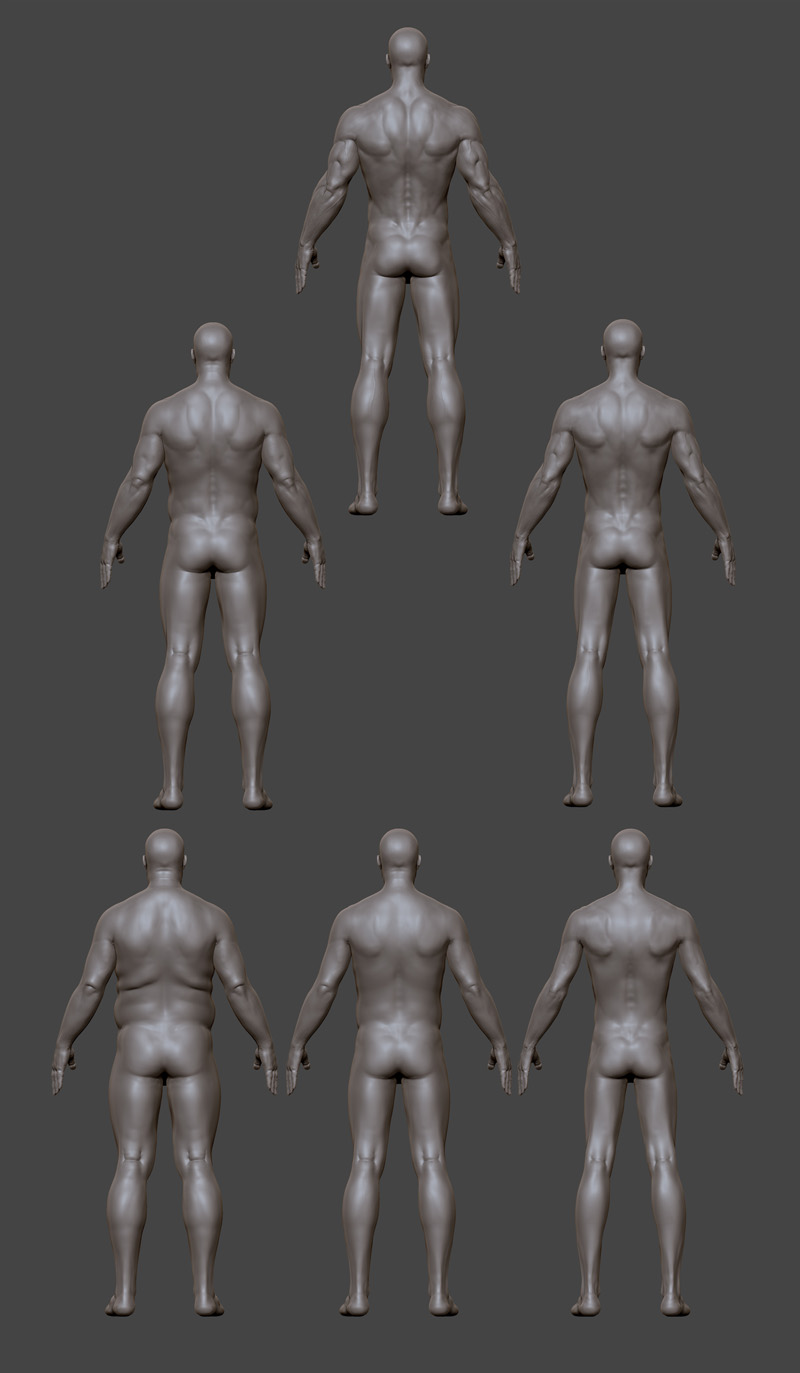 male figure types