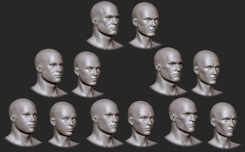 Male female face variations